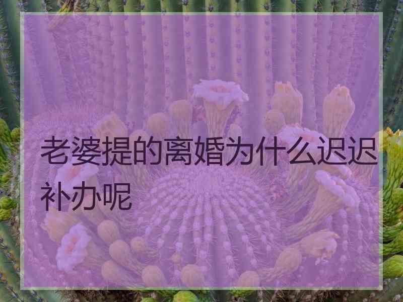 老婆提的离婚为什么迟迟补办呢