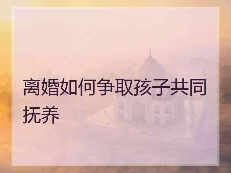 离婚如何争取孩子共同抚养