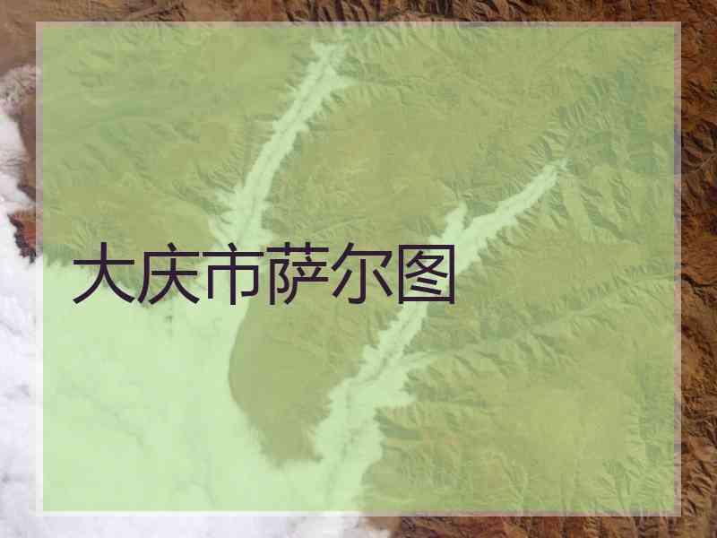 大庆市萨尔图