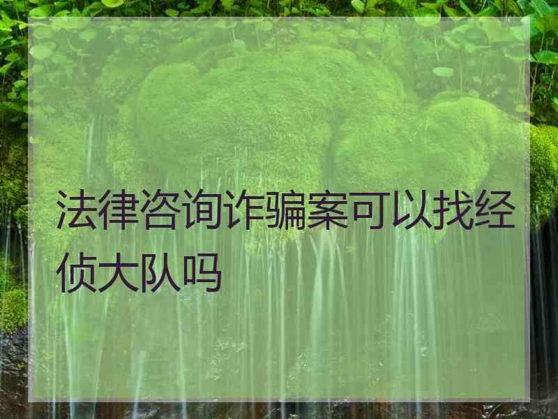 法律咨询诈骗案可以找经侦大队吗