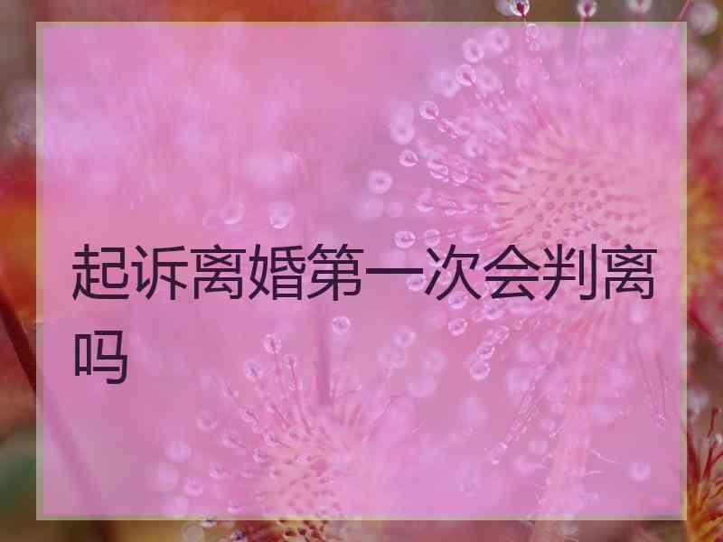 起诉离婚第一次会判离吗