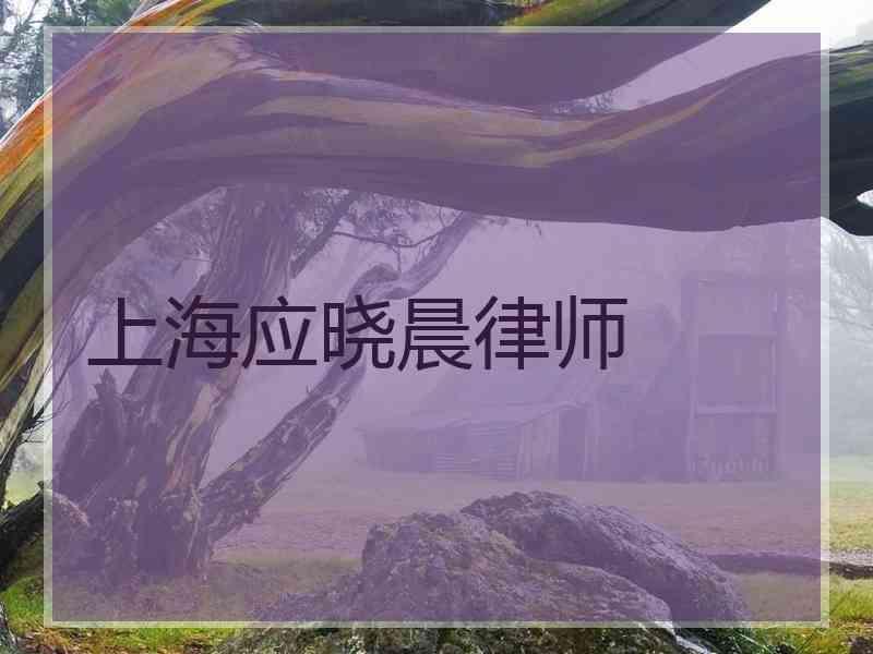 上海应晓晨律师