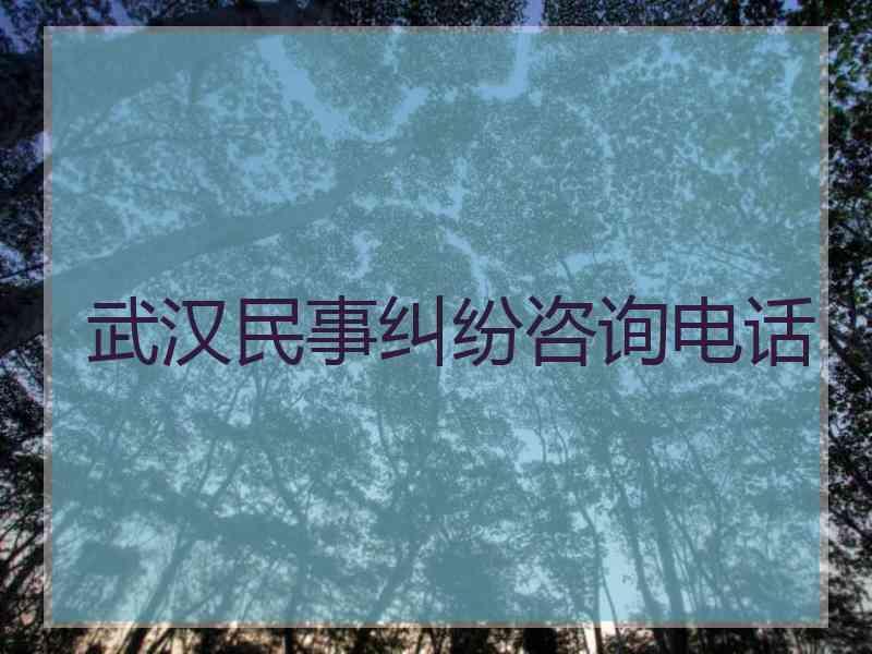 武汉民事纠纷咨询电话