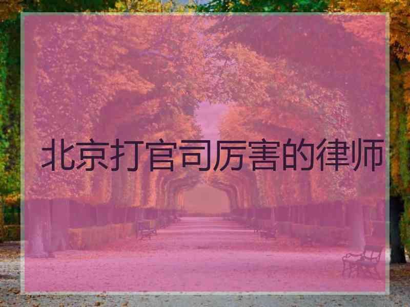 北京打官司厉害的律师