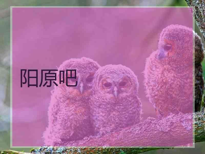 阳原吧