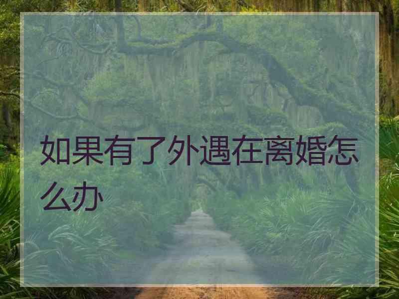 如果有了外遇在离婚怎么办