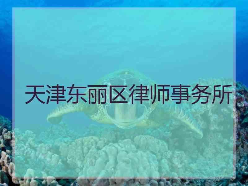 天津东丽区律师事务所