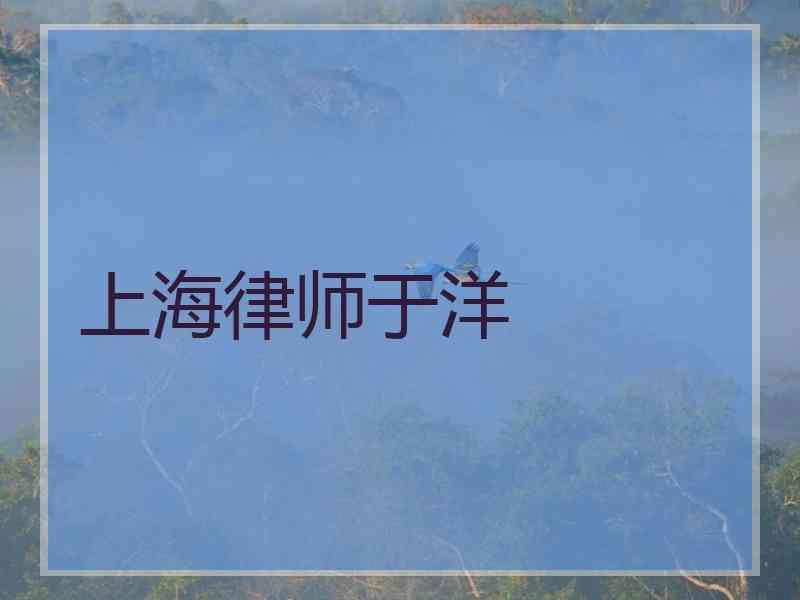 上海律师于洋