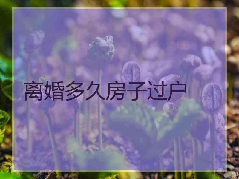 离婚多久房子过户