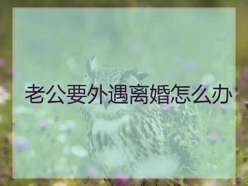 老公要外遇离婚怎么办
