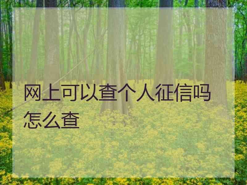 网上可以查个人征信吗 怎么查