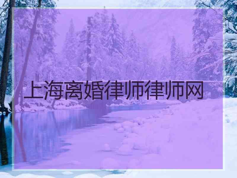 上海离婚律师律师网