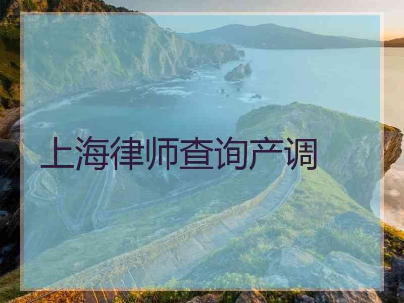 上海律师查询产调