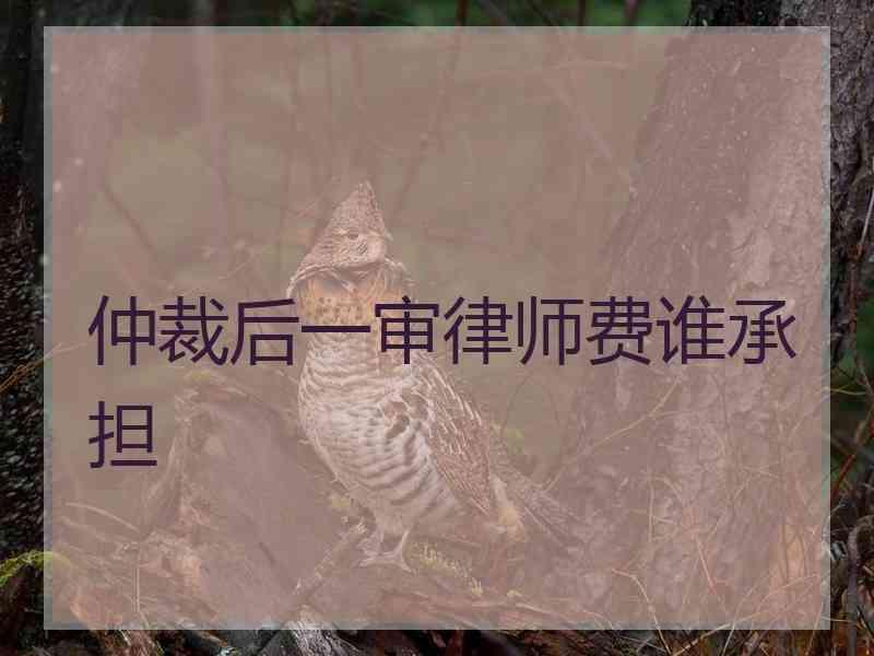 仲裁后一审律师费谁承担