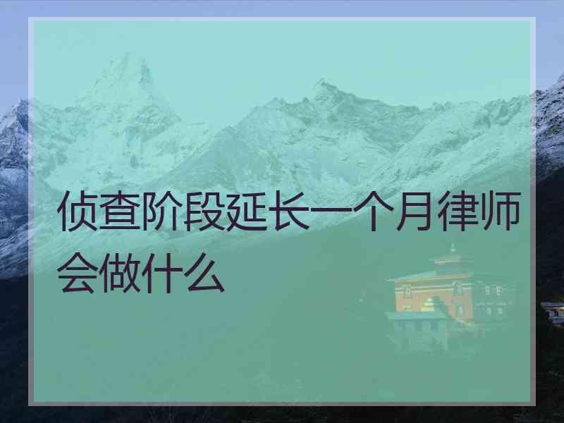 侦查阶段延长一个月律师会做什么