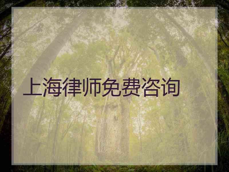 上海律师免费咨询