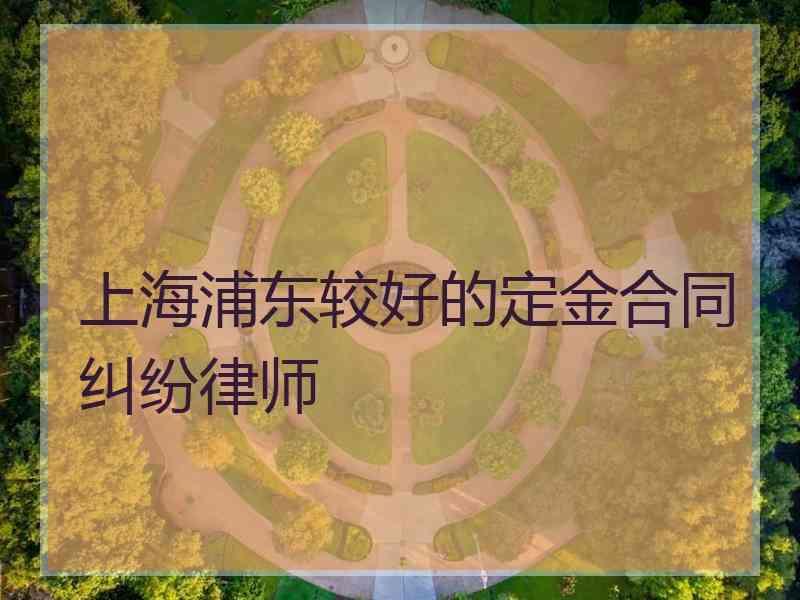 上海浦东较好的定金合同纠纷律师
