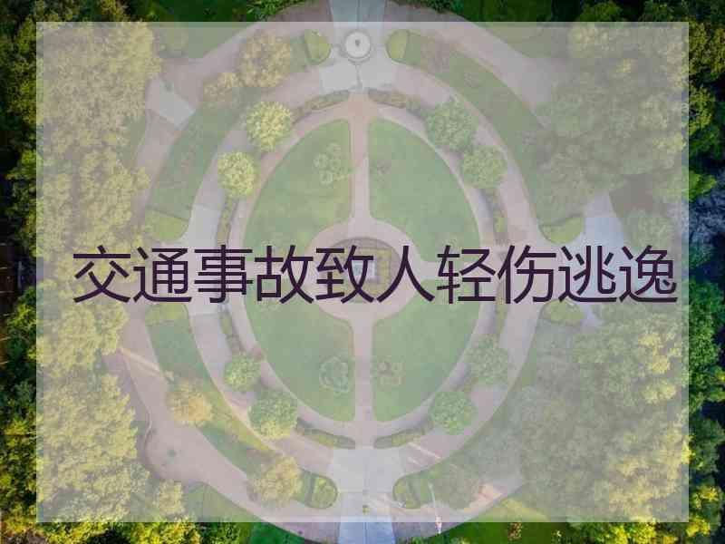 交通事故致人轻伤逃逸