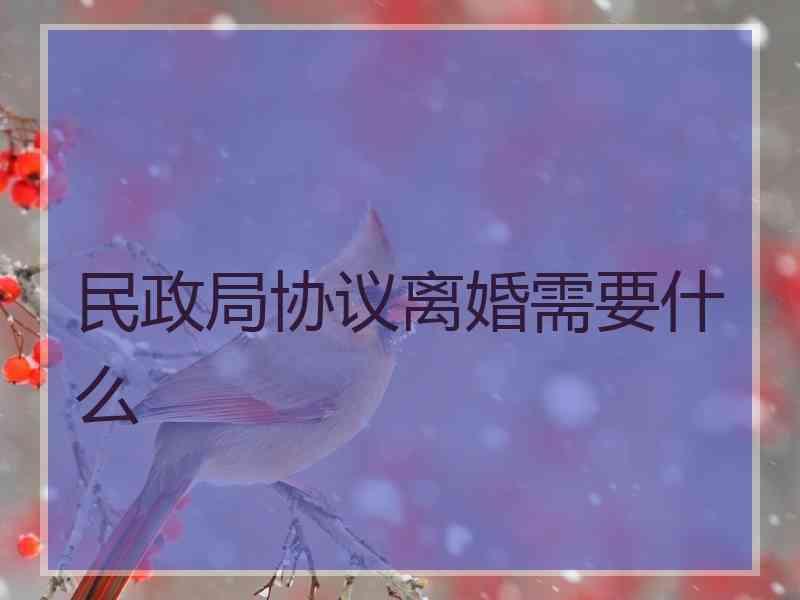 民政局协议离婚需要什么