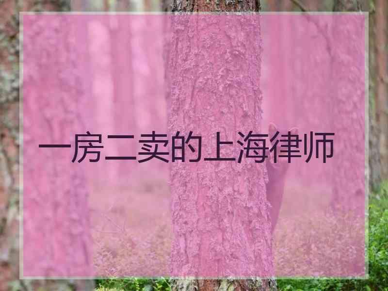 一房二卖的上海律师