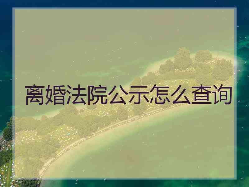 离婚法院公示怎么查询