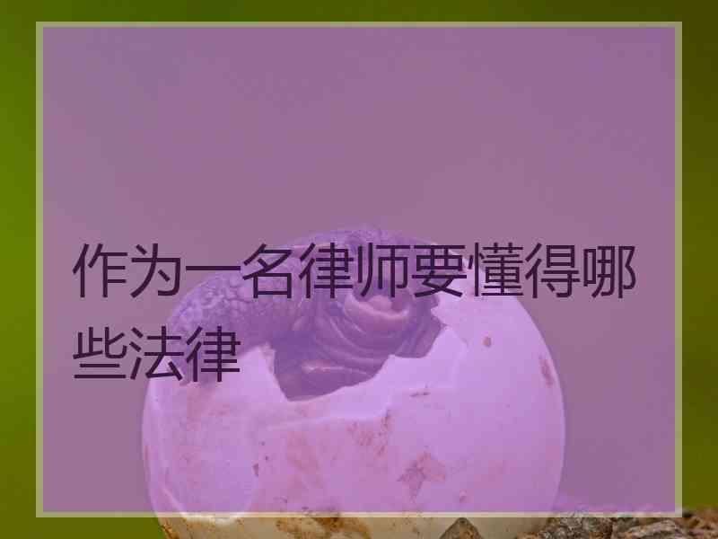 作为一名律师要懂得哪些法律