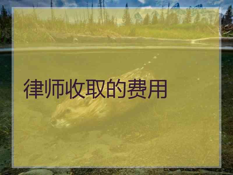 律师收取的费用