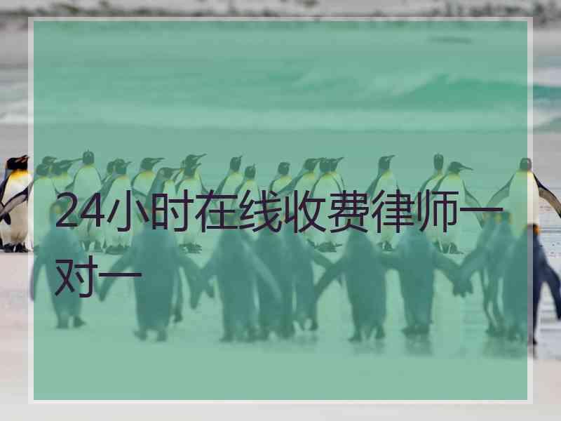 24小时在线收费律师一对一