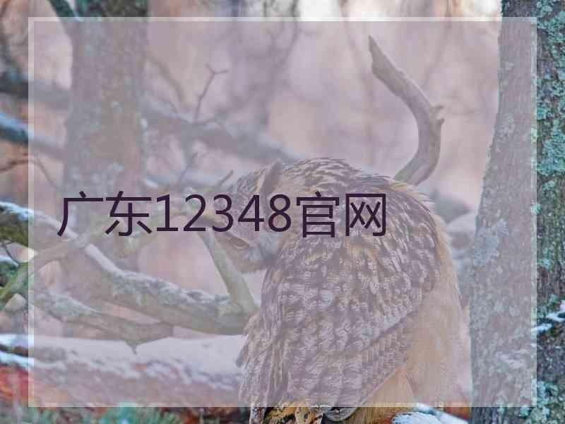 广东12348官网