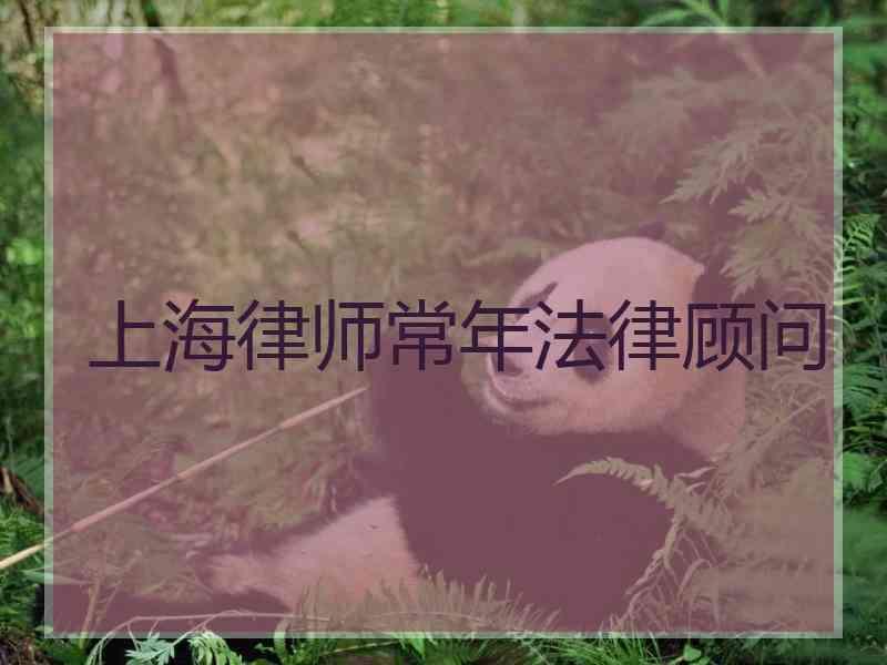 上海律师常年法律顾问