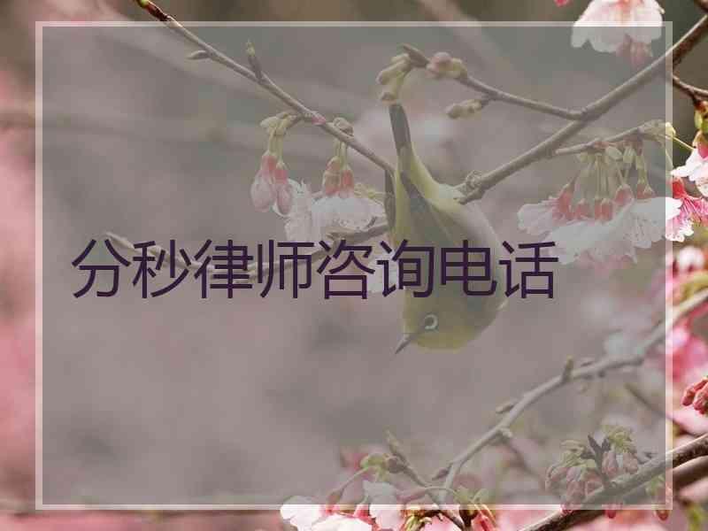 分秒律师咨询电话