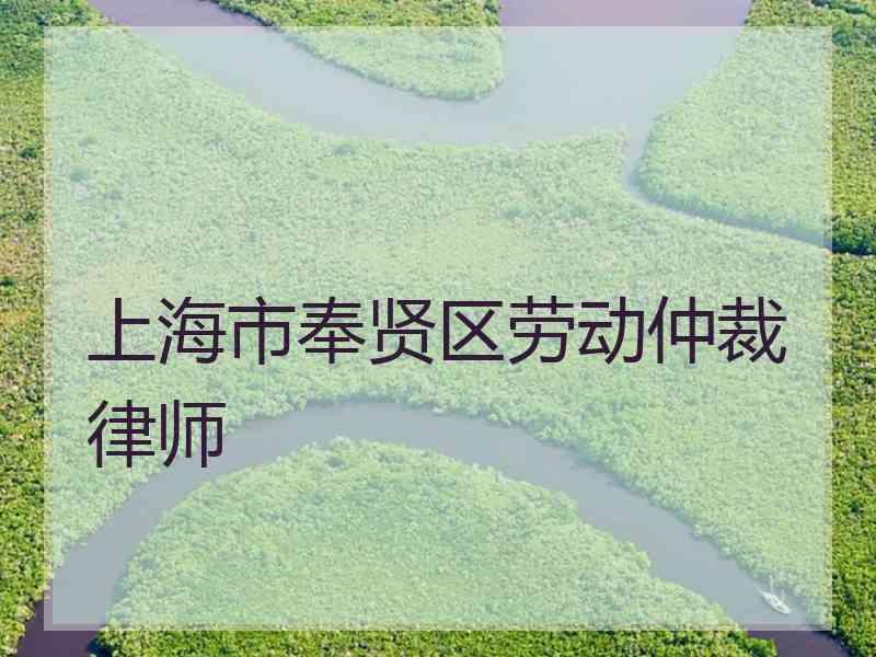 上海市奉贤区劳动仲裁律师