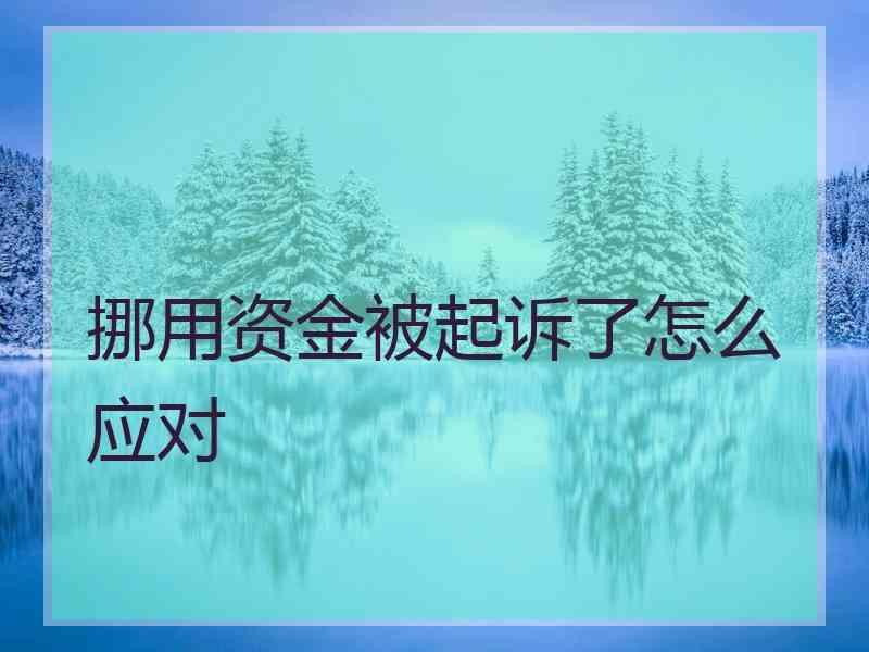 挪用资金被起诉了怎么应对