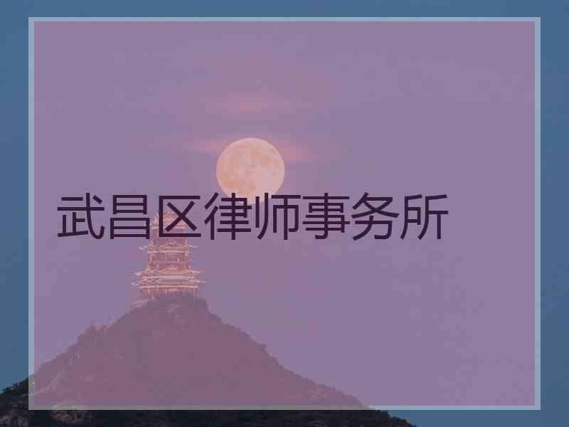 武昌区律师事务所