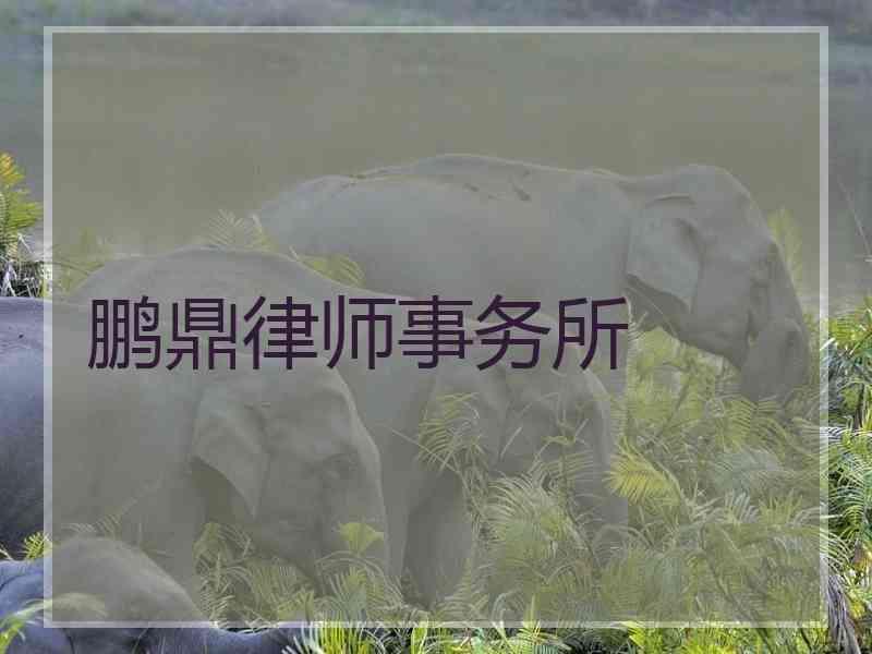 鹏鼎律师事务所