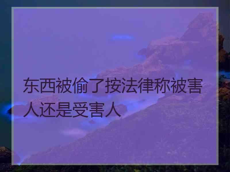 东西被偷了按法律称被害人还是受害人