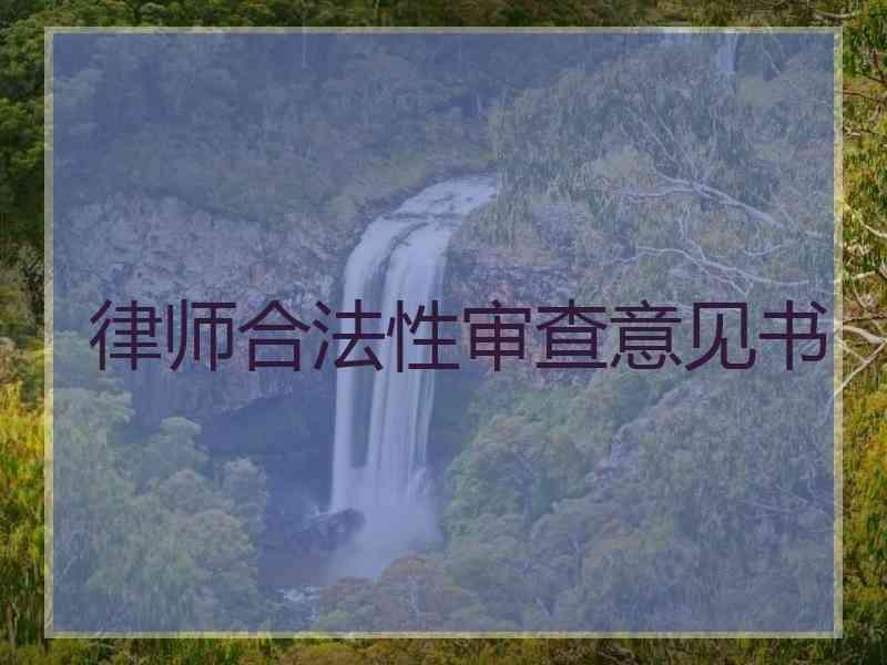 律师合法性审查意见书