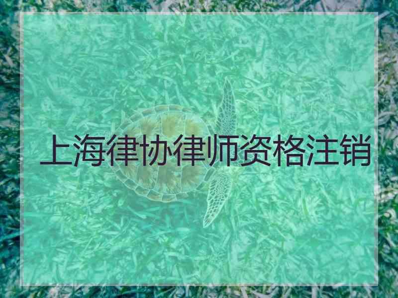 上海律协律师资格注销