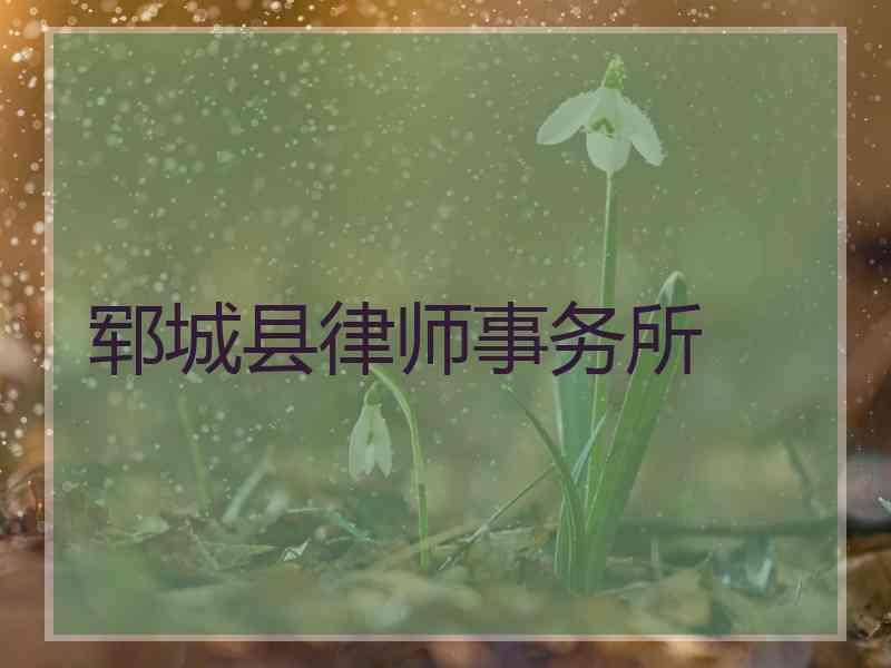 郓城县律师事务所