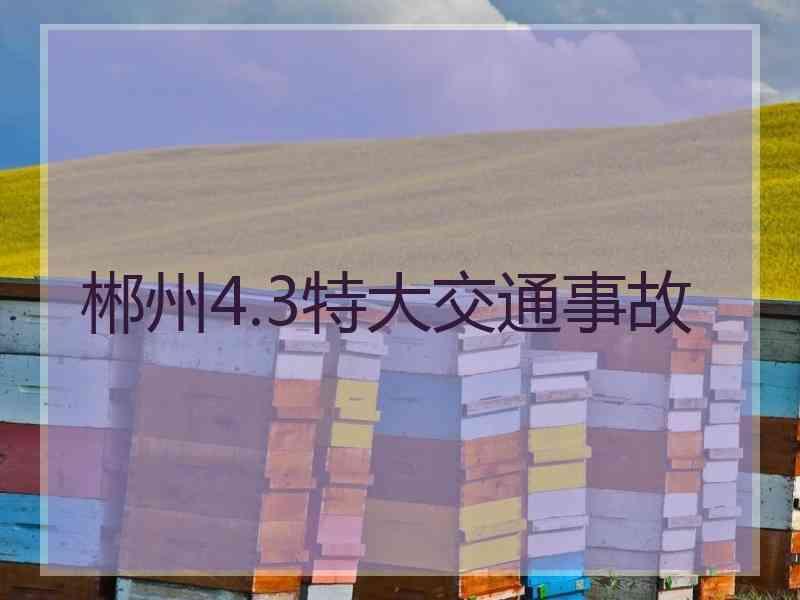 郴州4.3特大交通事故