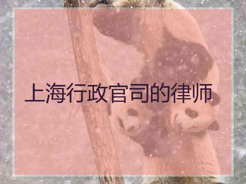 上海行政官司的律师