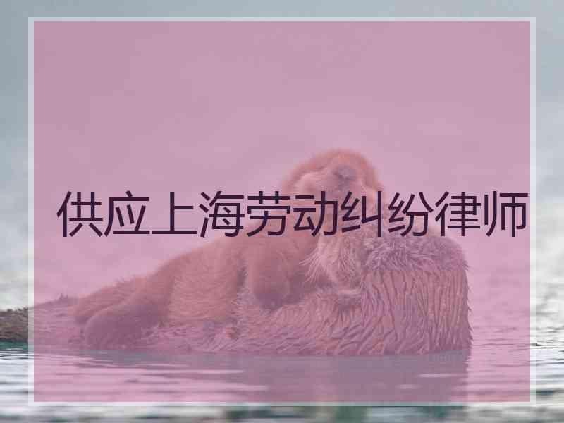 供应上海劳动纠纷律师