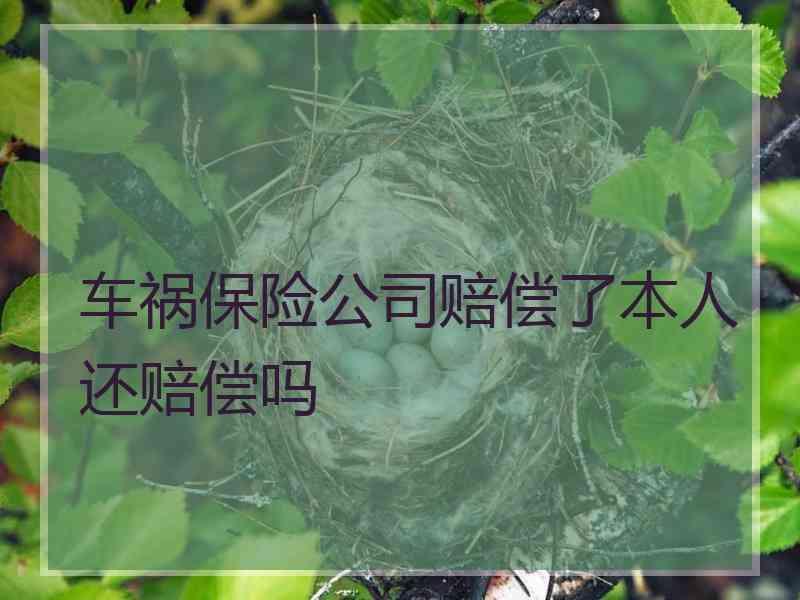 车祸保险公司赔偿了本人还赔偿吗