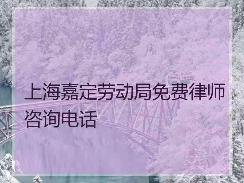 上海嘉定劳动局免费律师咨询电话