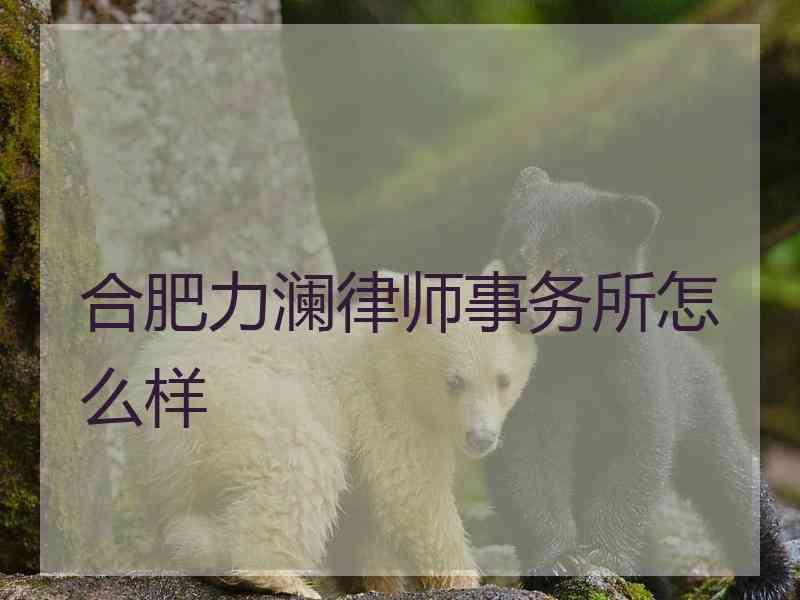 合肥力澜律师事务所怎么样