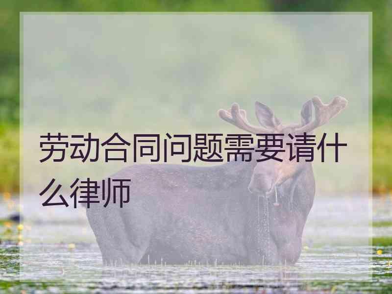 劳动合同问题需要请什么律师