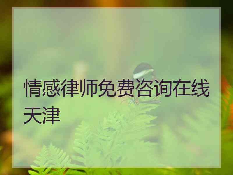 情感律师免费咨询在线天津