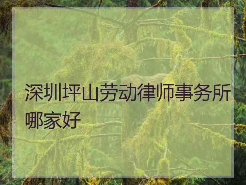 深圳坪山劳动律师事务所哪家好