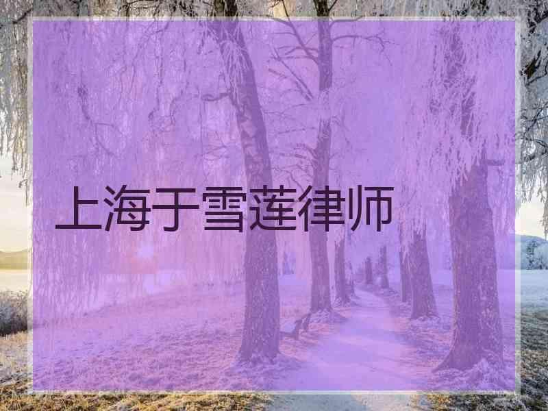 上海于雪莲律师