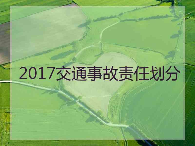 2017交通事故责任划分